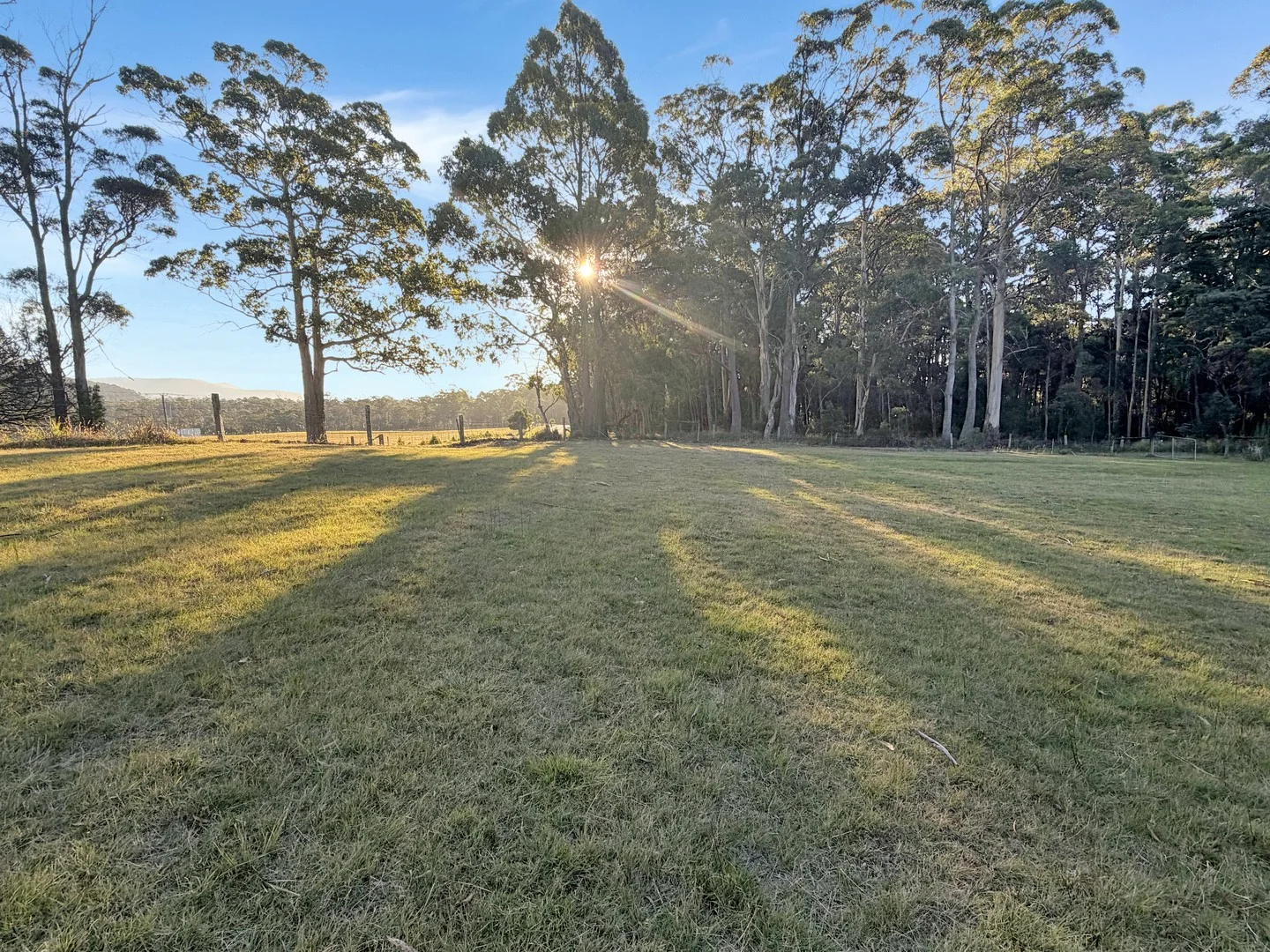577 Elephant Pass Road, Gray TAS 7215