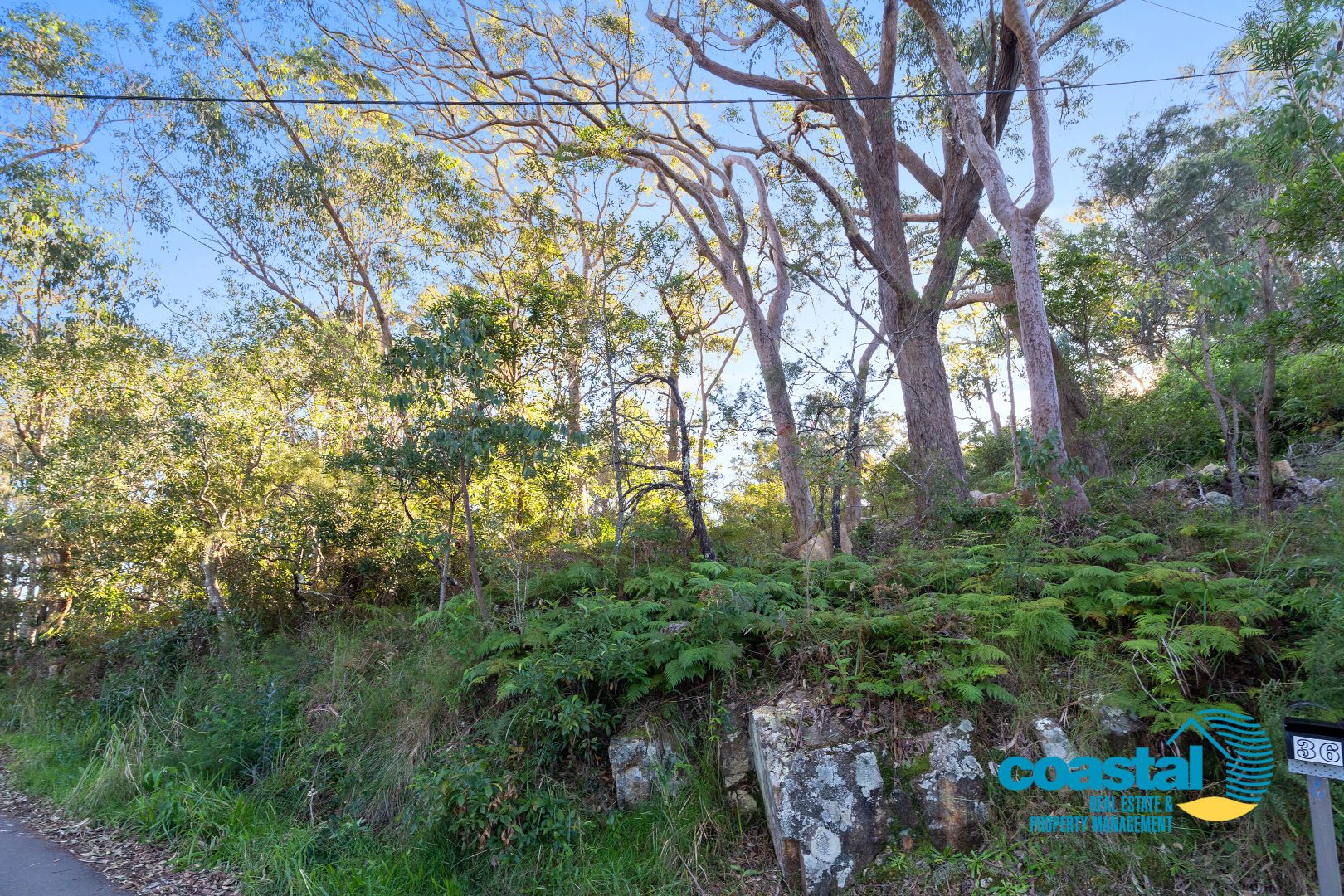 38 The Parkway, Mallabula NSW 2319, Image 2