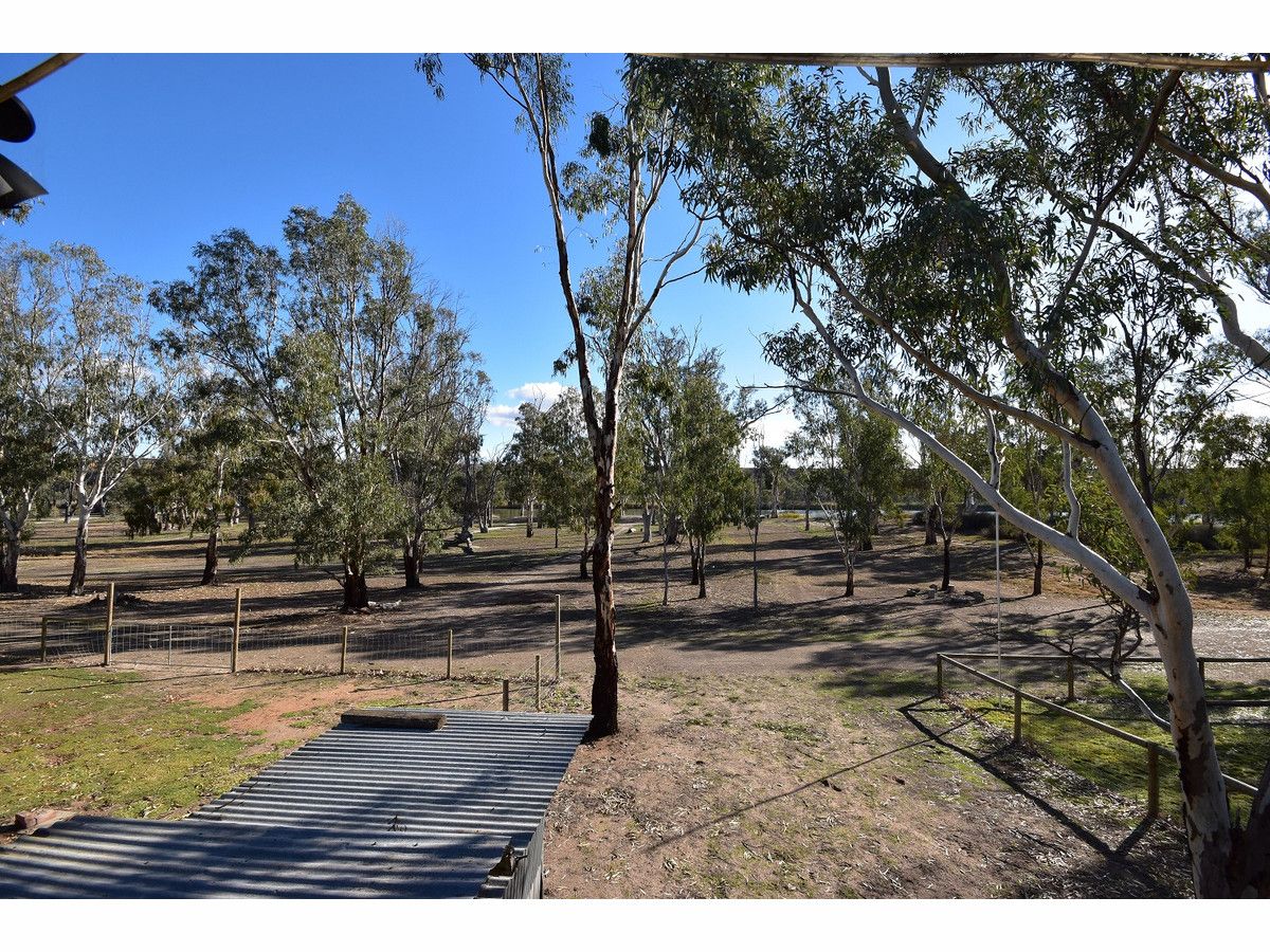 77 River Reserve Road, Marks Landing, Swan Reach SA 5354, Image 2