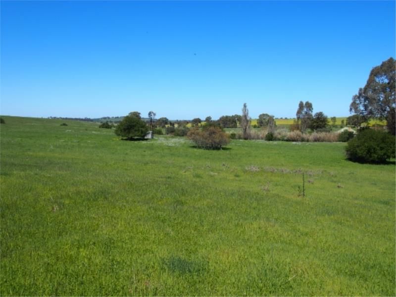 Lot 1 Short Street, Mintaro SA 5415, Image 1