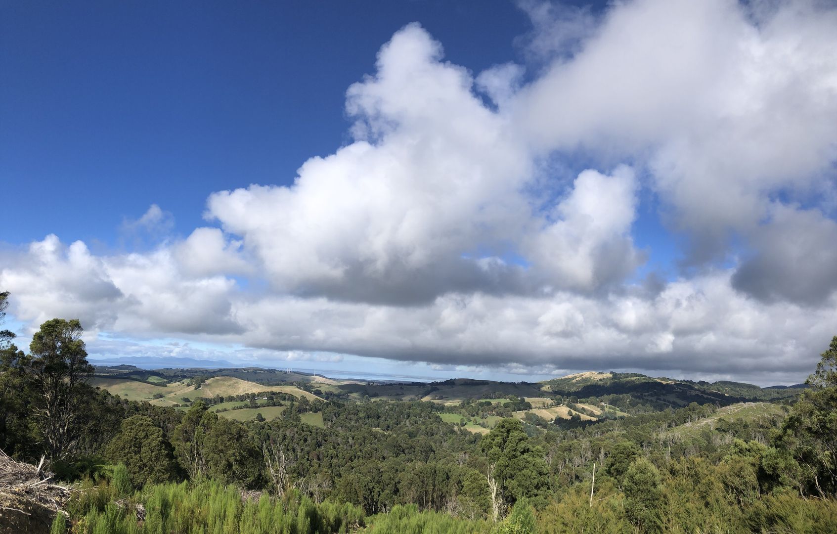 567 Devils Pinch Rd, Toora VIC 3962, Image 2