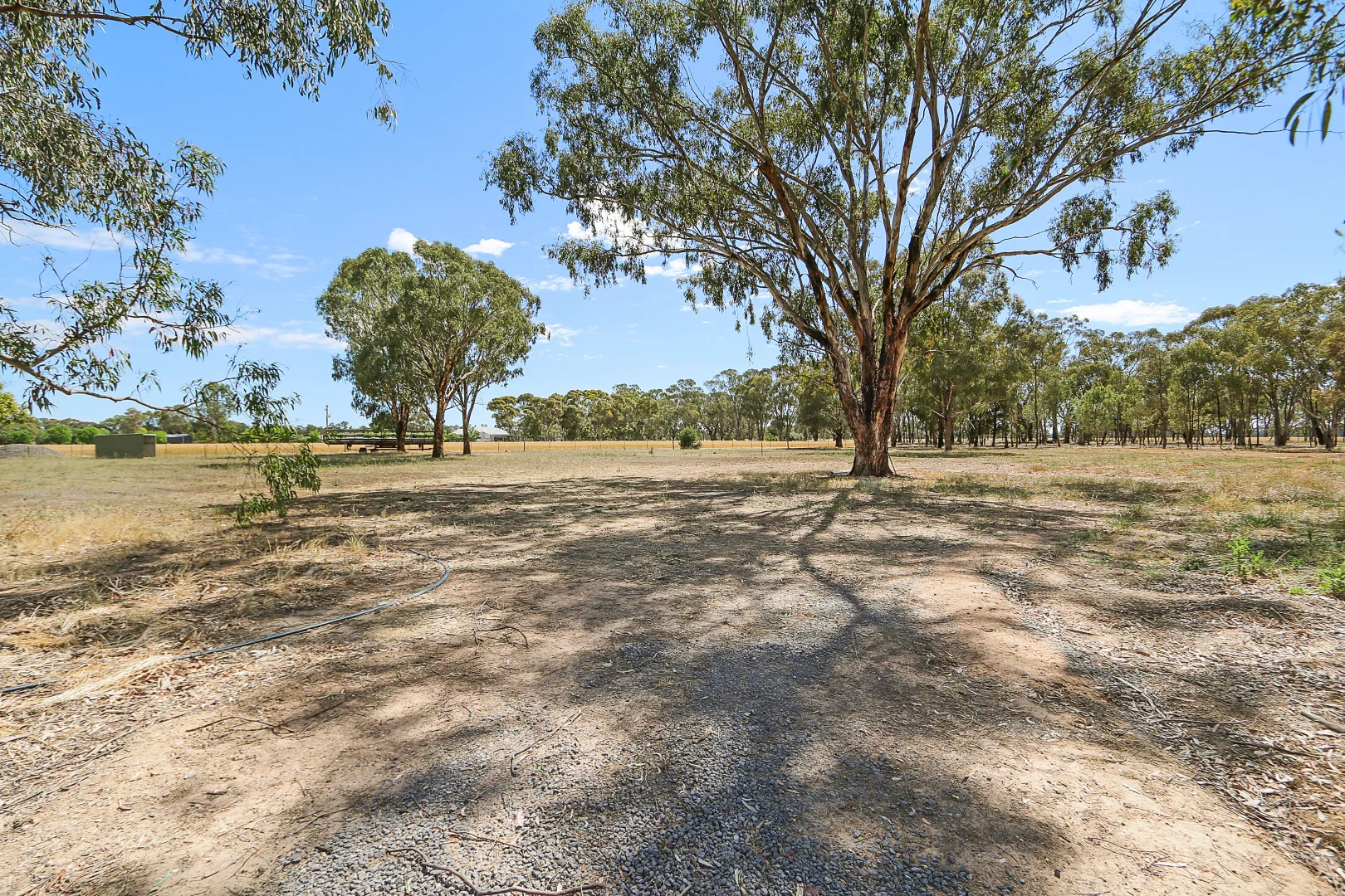 Image 30