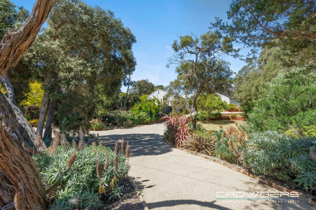 Image 16