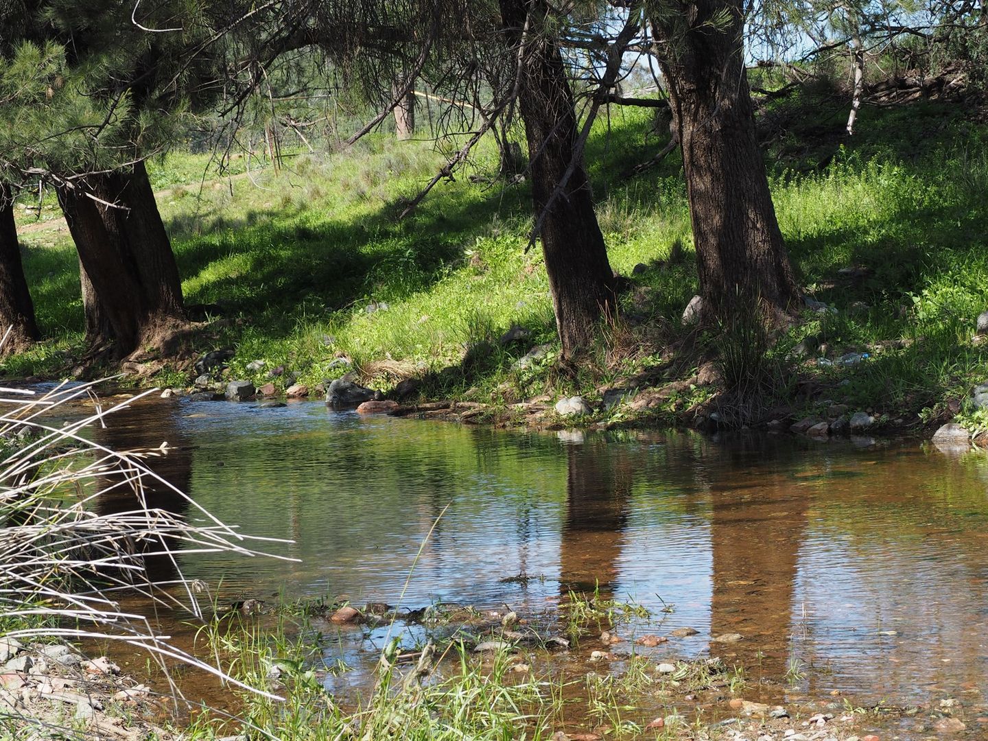 2175 Upper Bingara Road, Bingara NSW 2404, Image 2