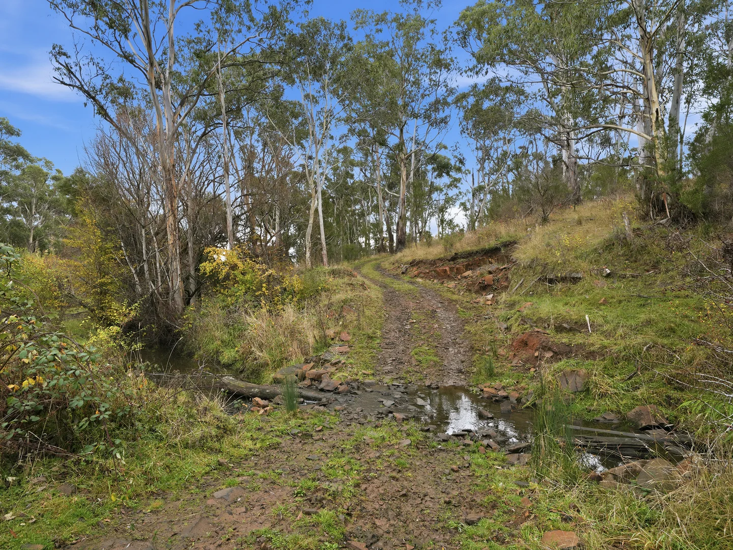 Image 24