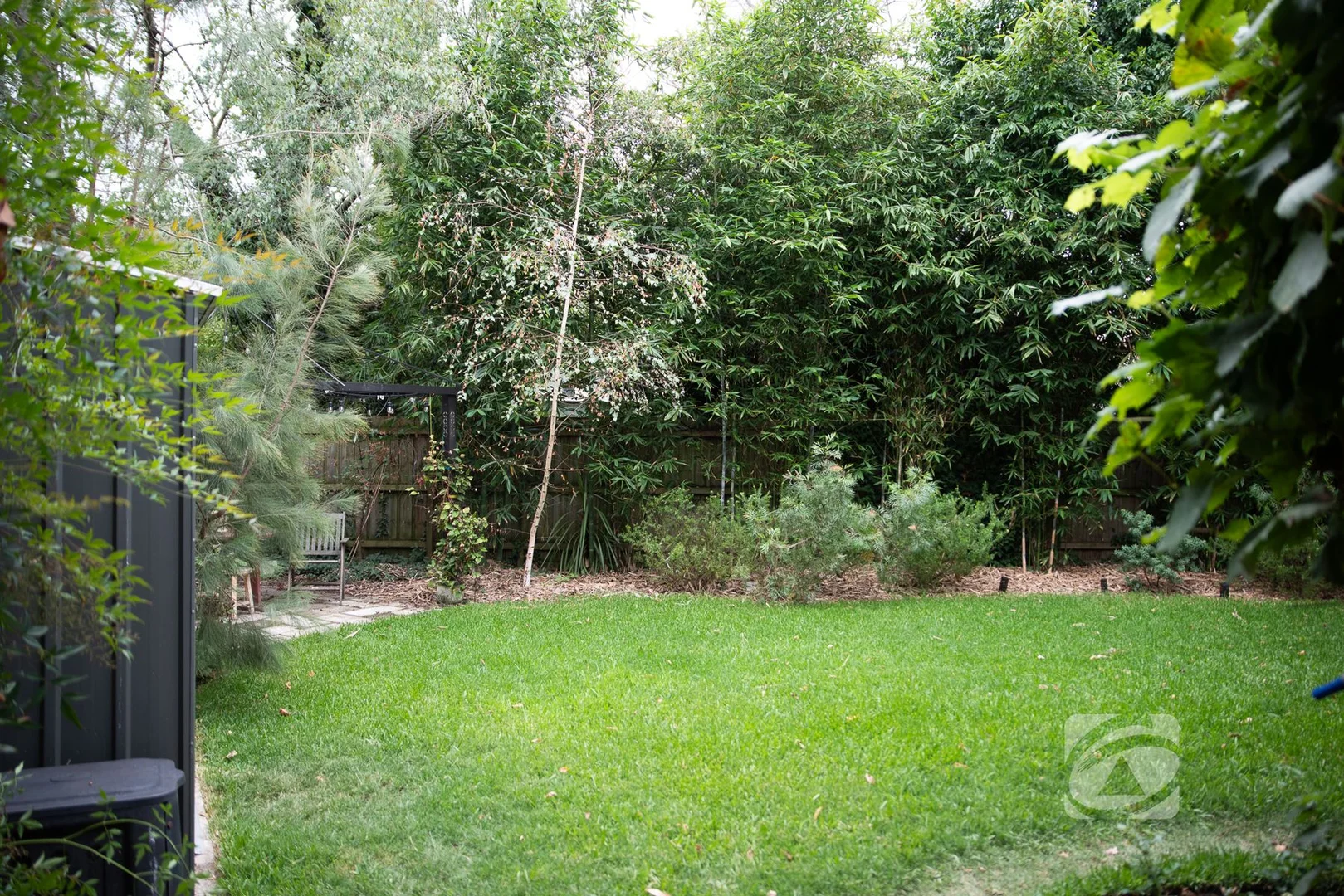 Image 24