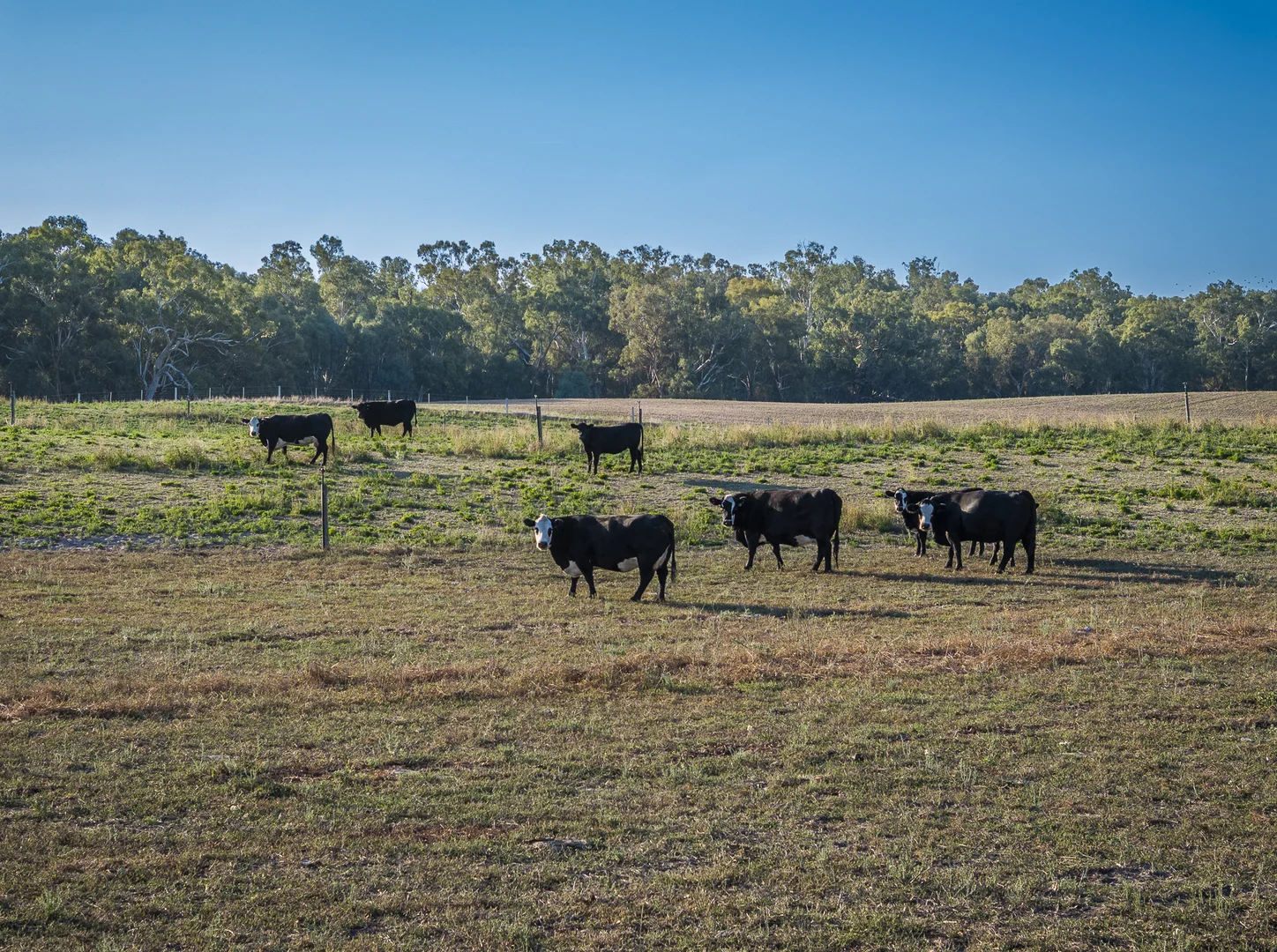 Additional image 29 of 610 Ulupna Bridge Road, Ulupna VIC 3641