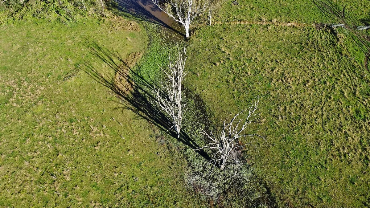Image 10