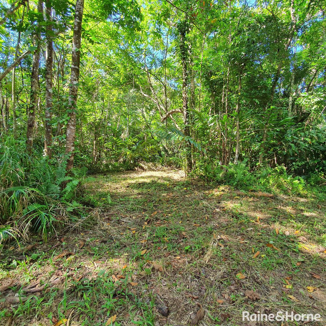 37 Nicole Drive Cape Tribulation, Daintree QLD 4873, Image 2