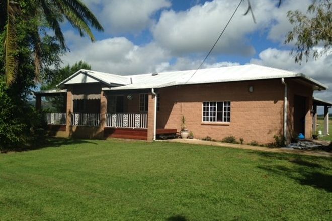 Picture of 131 Bullock Paddock Road, MACKNADE QLD 4850