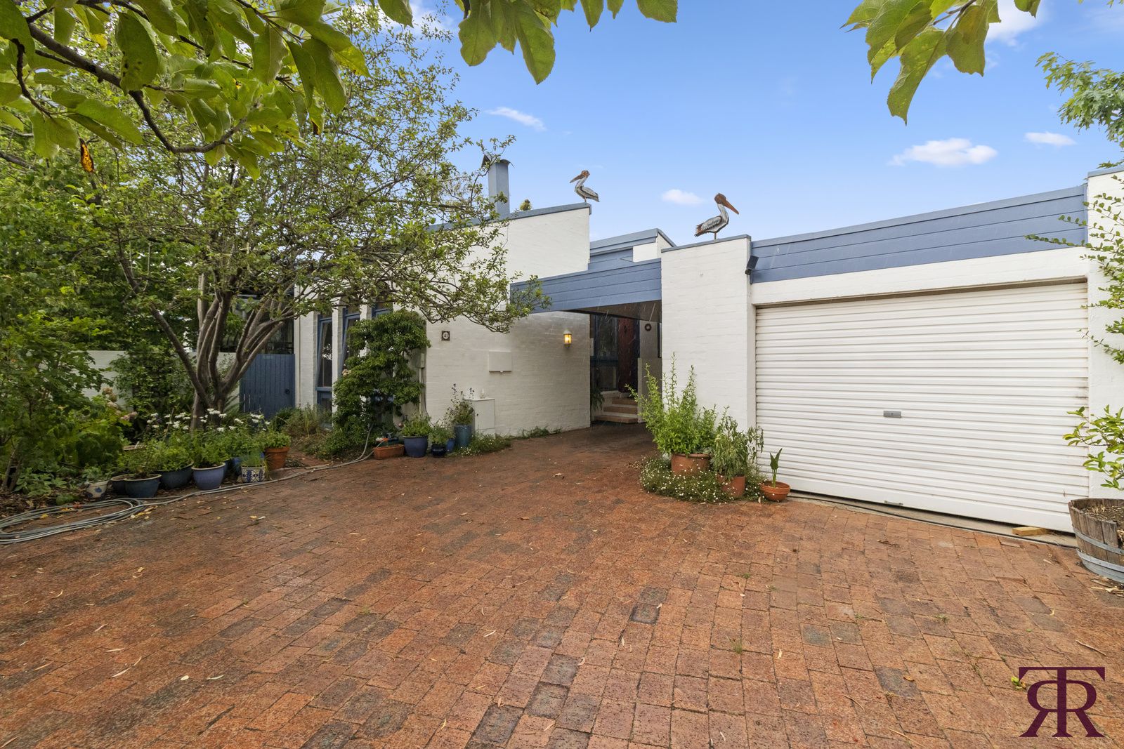 41 Shumack Street, Weetangera ACT 2614, Image 1