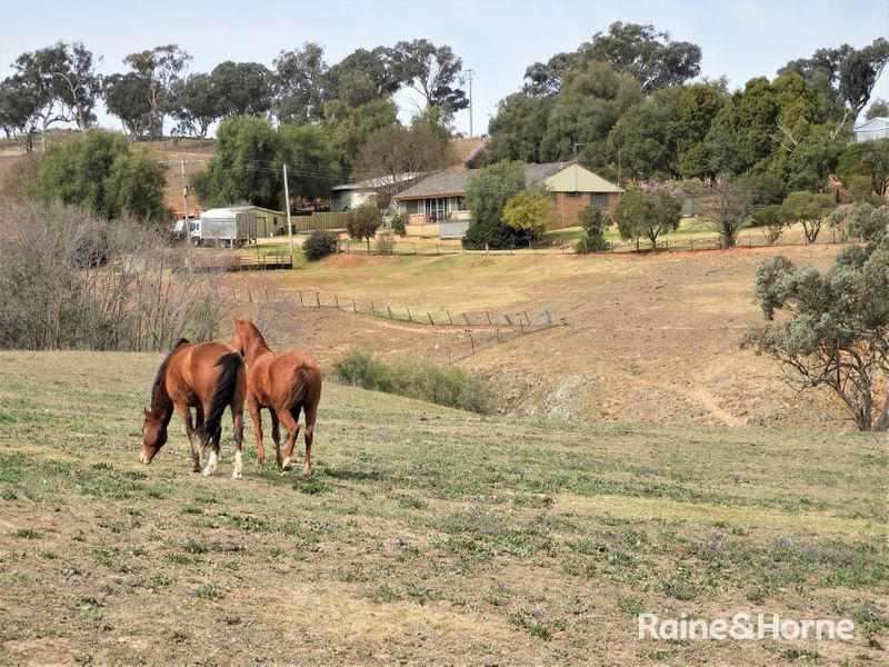 1598 GEEGULLALONG ROAD, Murringo NSW 2586, Image 0