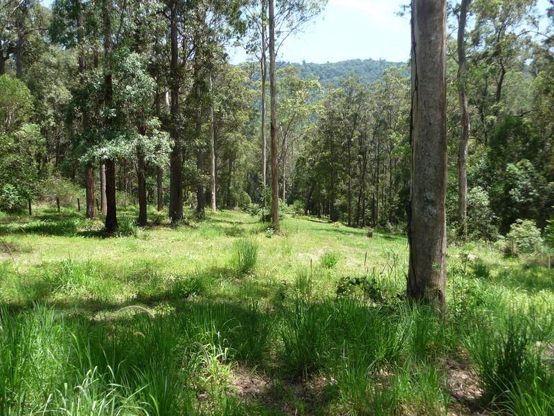 261 Pocket Road, NUMINBAH VALLEY QLD 4211, Image 1