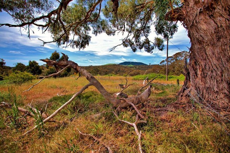 239 HepburnNewstead Road, Shepherds Flat VIC 3461 House for Sale