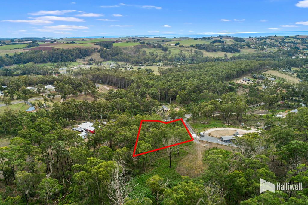 9 Woodland Grove, Tugrah TAS 7310, Image 0