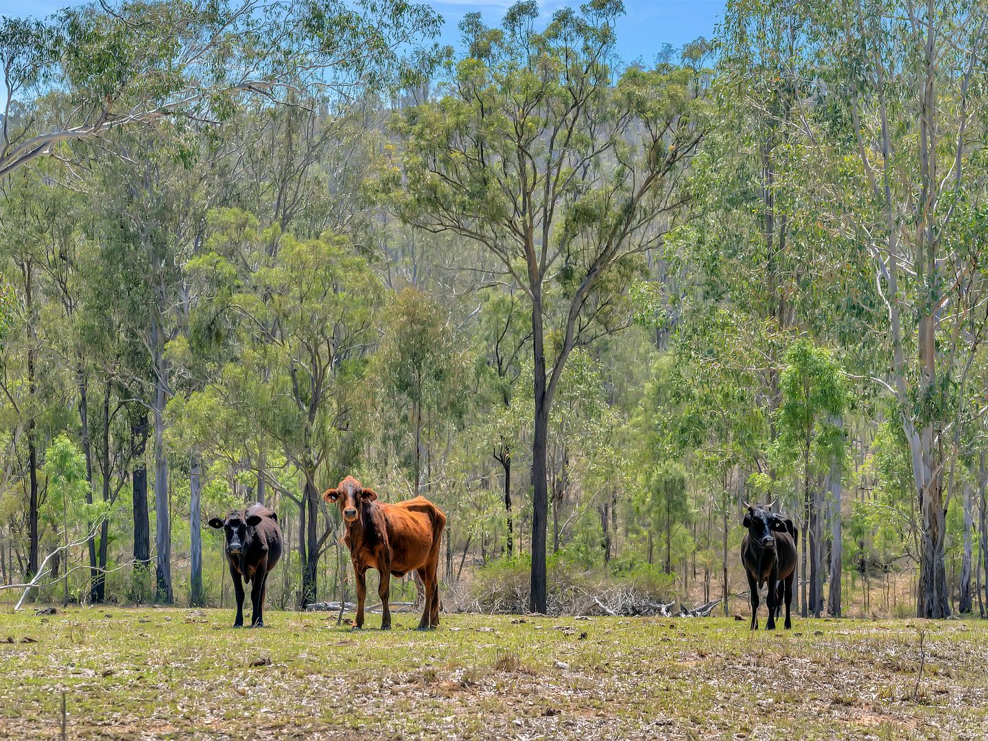 6166 Brisbane Valley Highway, Biarra QLD 4313, Image 2