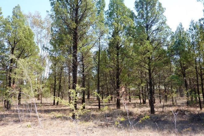 Picture of Lot 7 Christie Drive, GILGANDRA NSW 2827