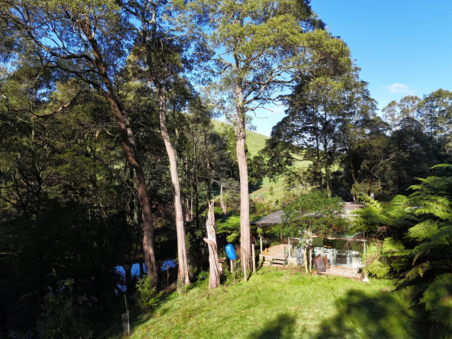 Image 11