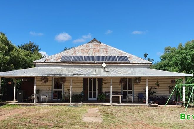 Picture of 137 Warren Road, GILGANDRA NSW 2827