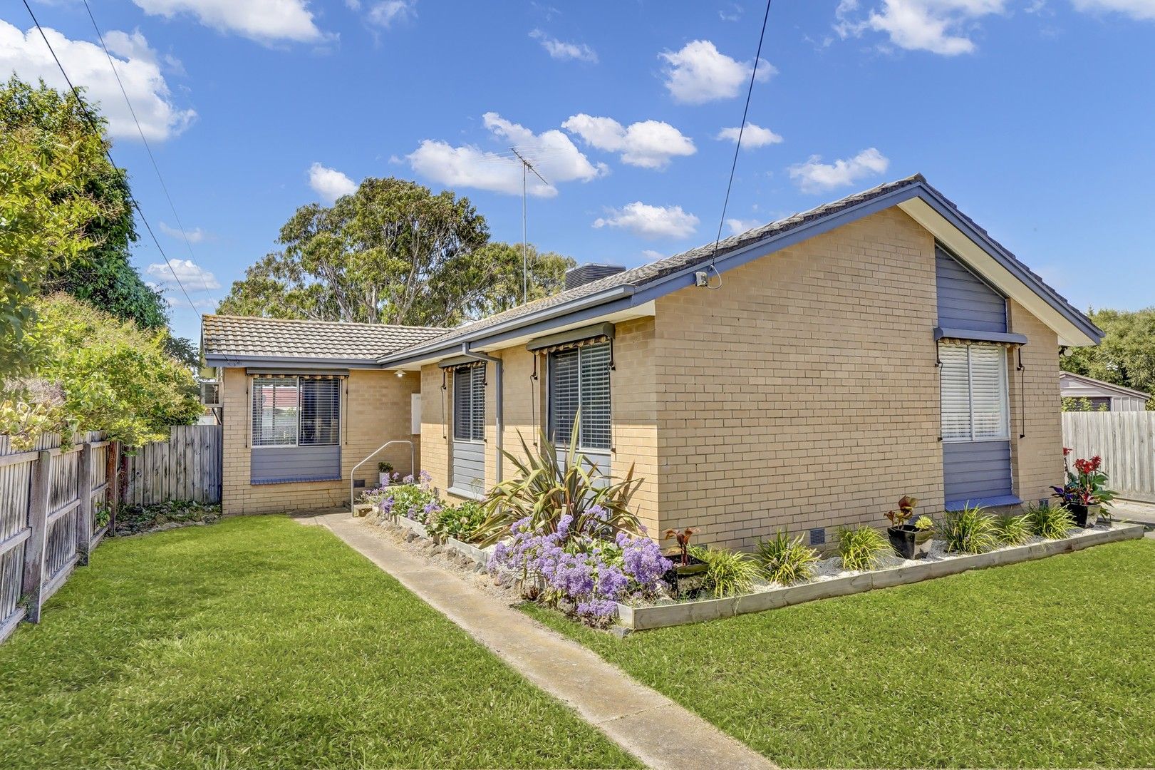 24 Ranger Court, Whittington VIC 3219, Image 1