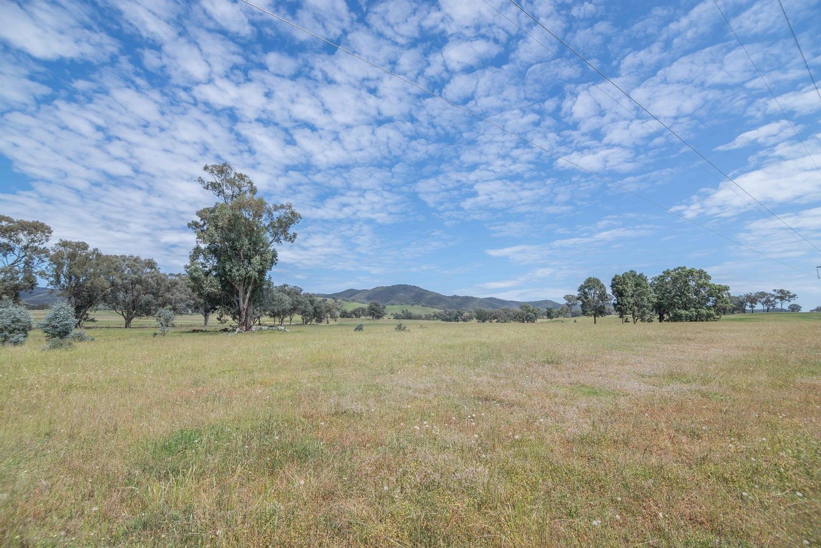 106 Spring Flat South Lane, Mudgee NSW 2850, Image 0