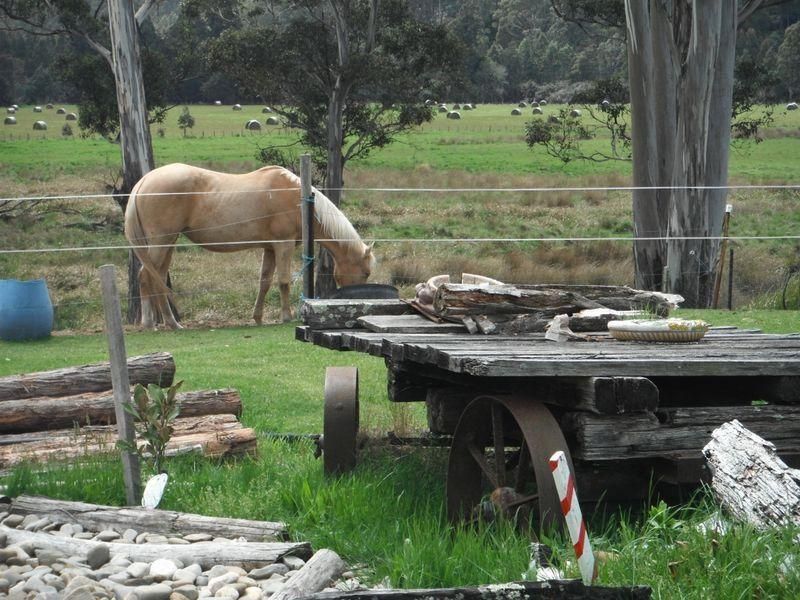 1658 Upper Esk road, Upper Esk, Upper Esk TAS 7214, Image 0