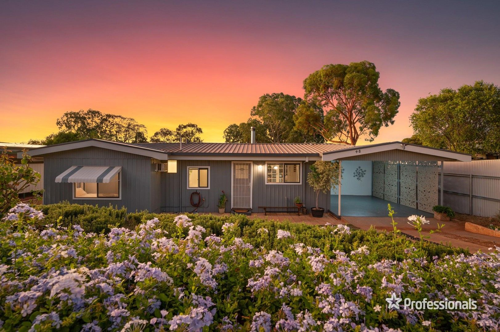 4 bedrooms House in 48 Killarney Street HANNANS WA, 6430