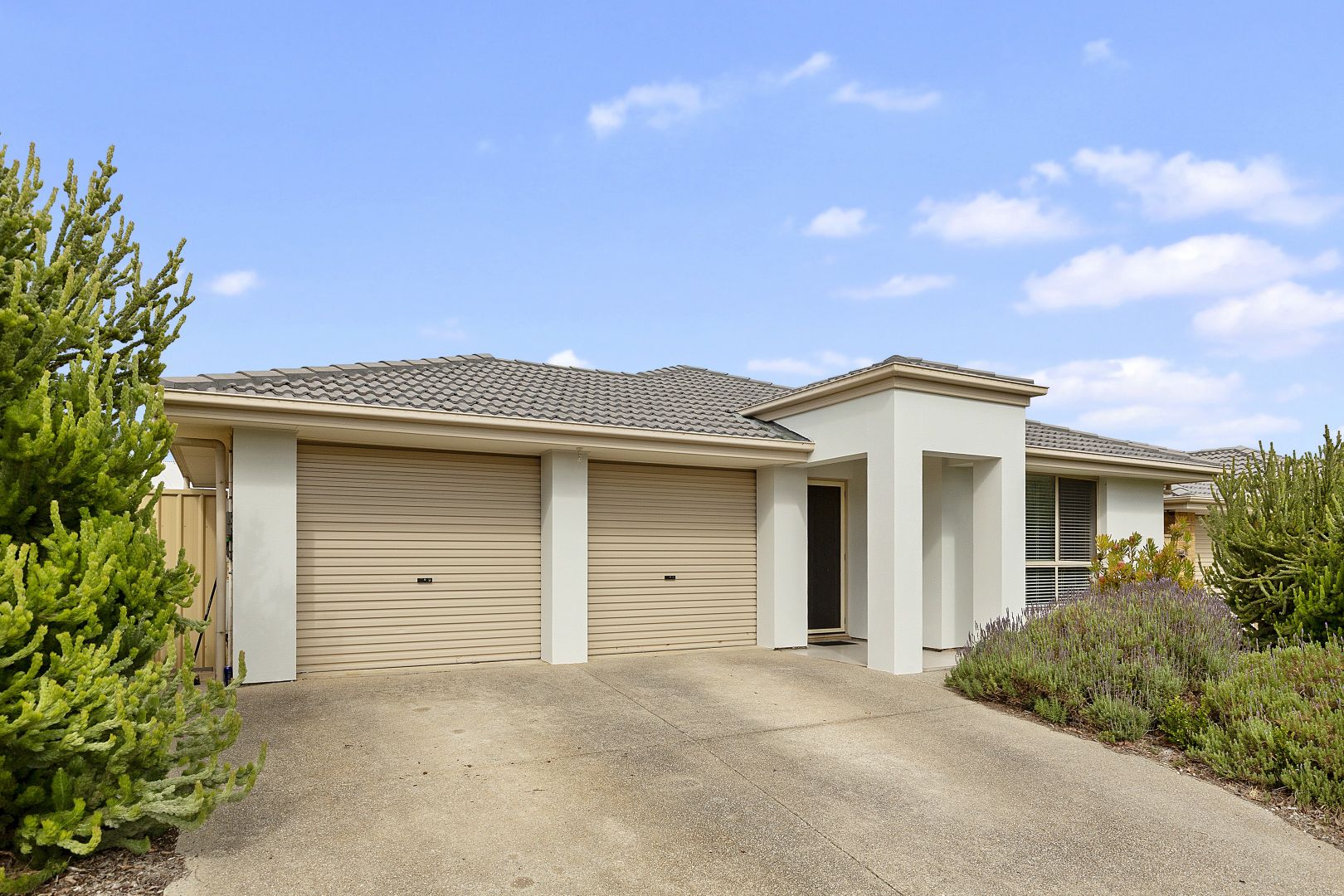 21 Wild Orchid Avenue, Aldinga Beach SA 5173, Image 1