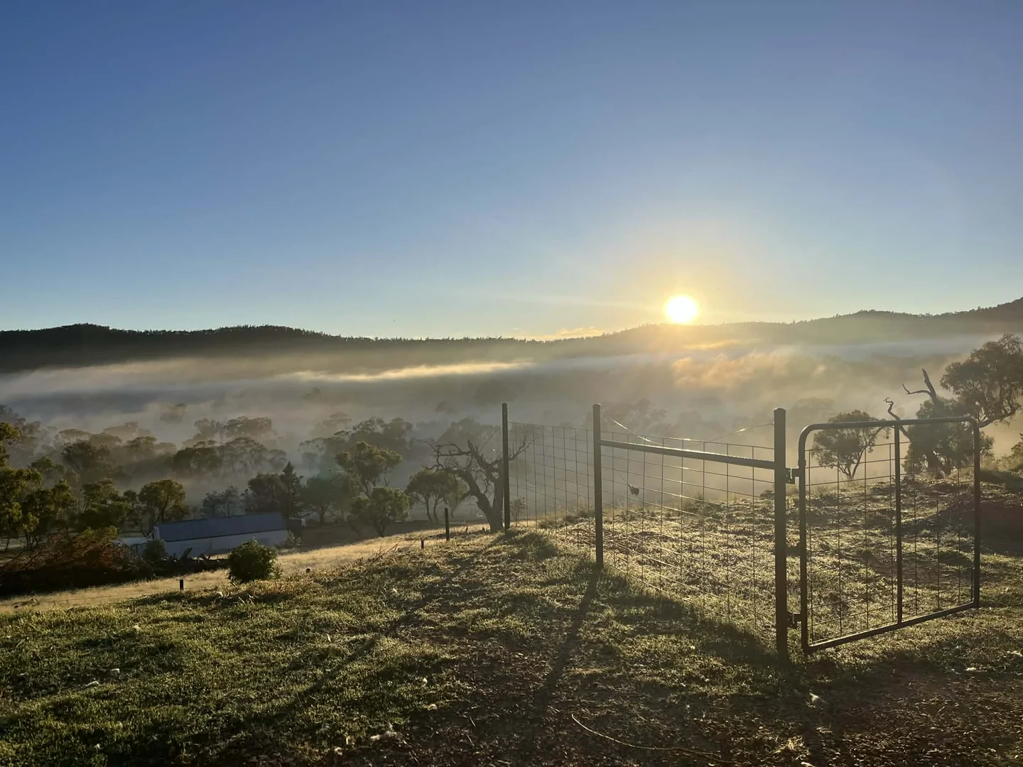 Additional image 19 of Lot 47 DP 751 Rothlyn Road Chakola NSW, Chakola NSW 2630