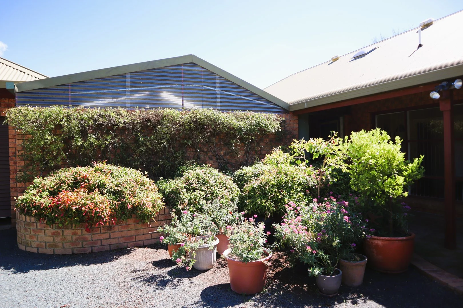 Image 25