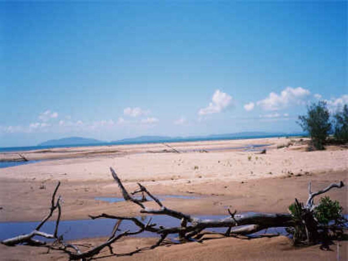 Lot 2 Taylors Beach Road, Taylors Beach QLD 4850 Domain