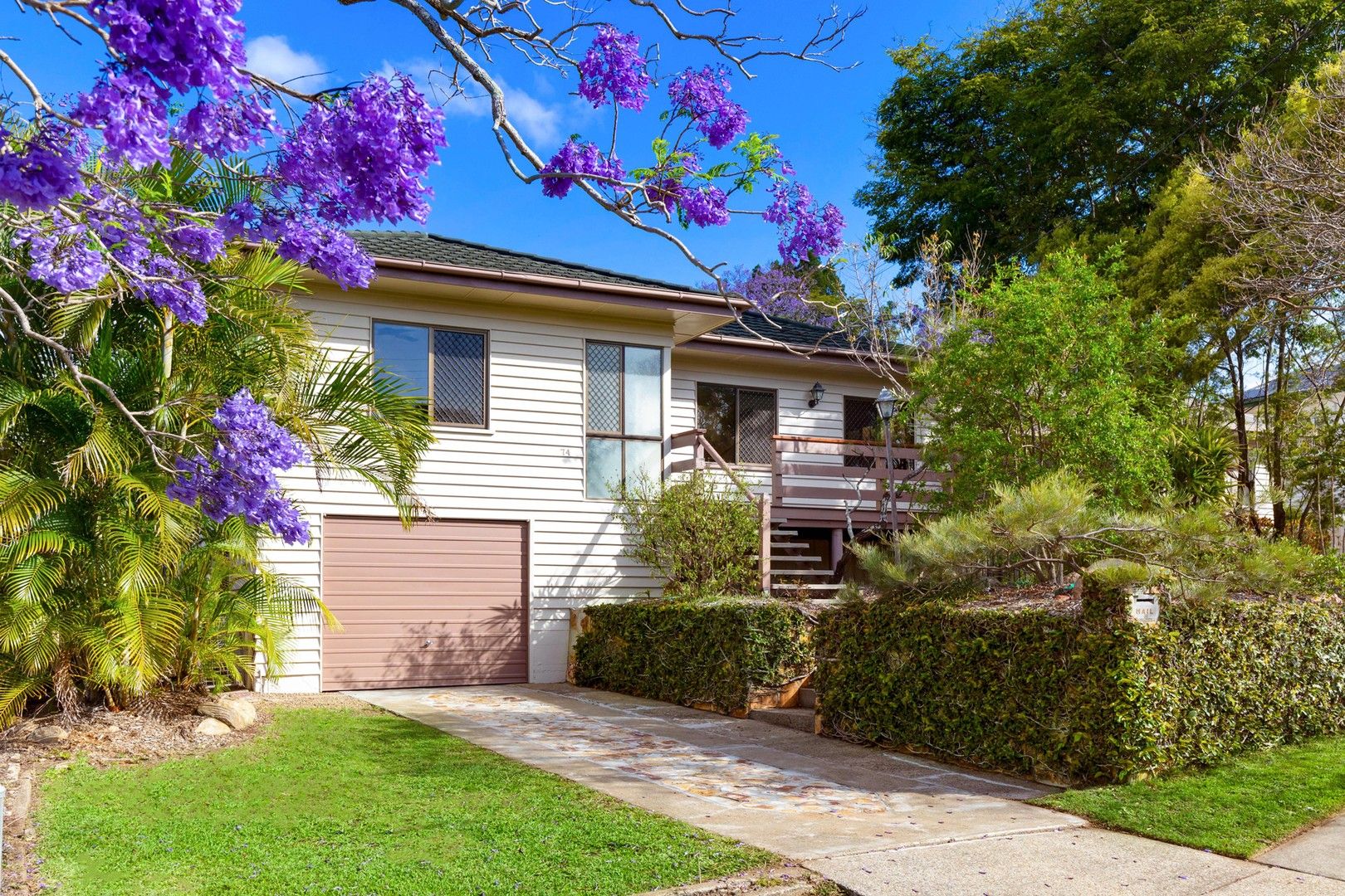 4 bedrooms House in 74 Sterculia Avenue HOLLAND PARK WEST QLD, 4121