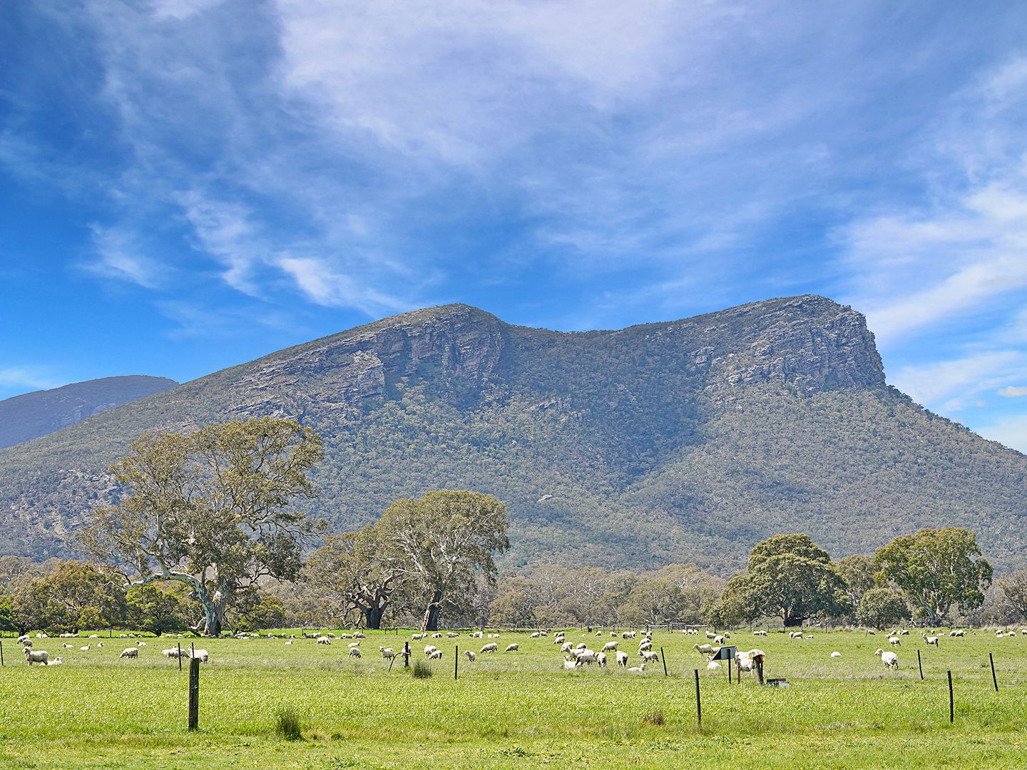 7326 Glenelg Highway, Dunkeld VIC 3294 House for Sale Domain