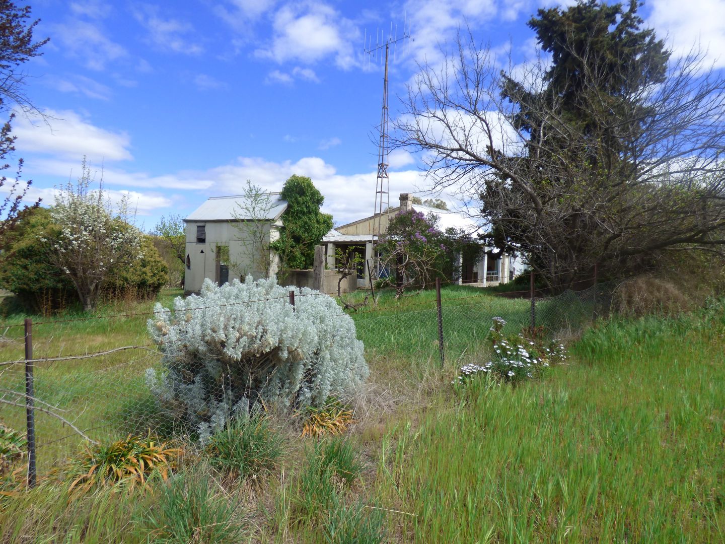 173 Back Demondrille Road, Murrumburrah NSW 2587, Image 1