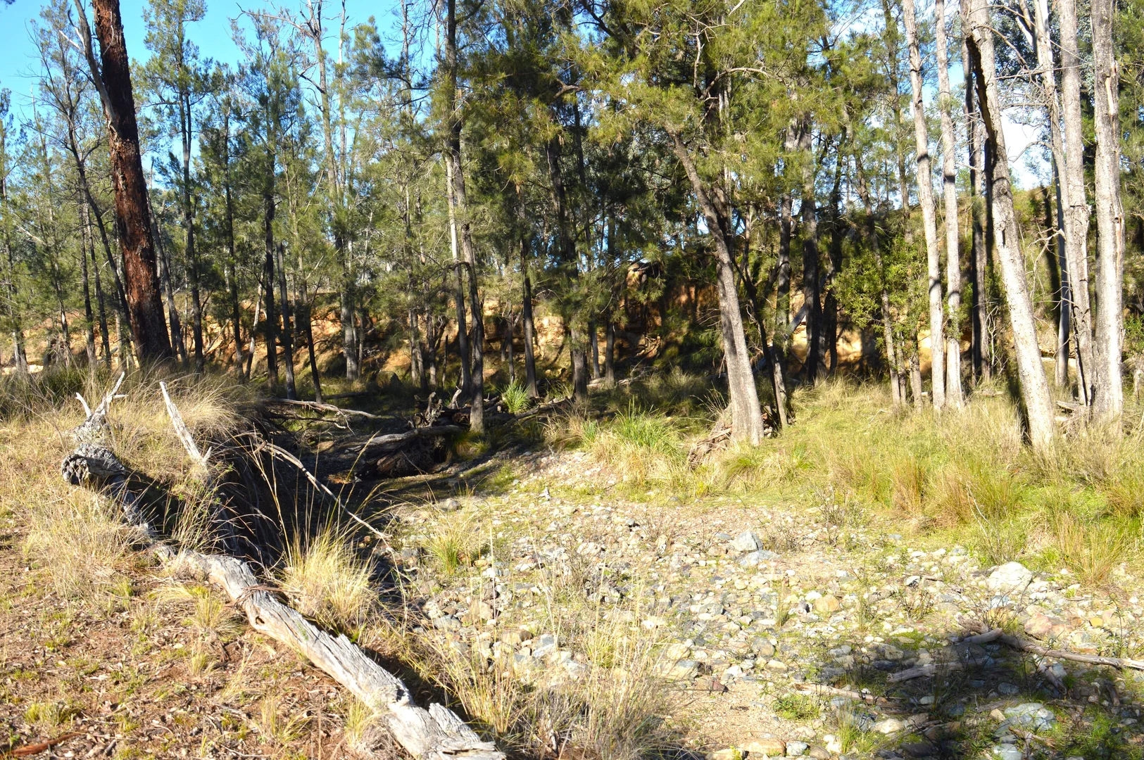 Image 7