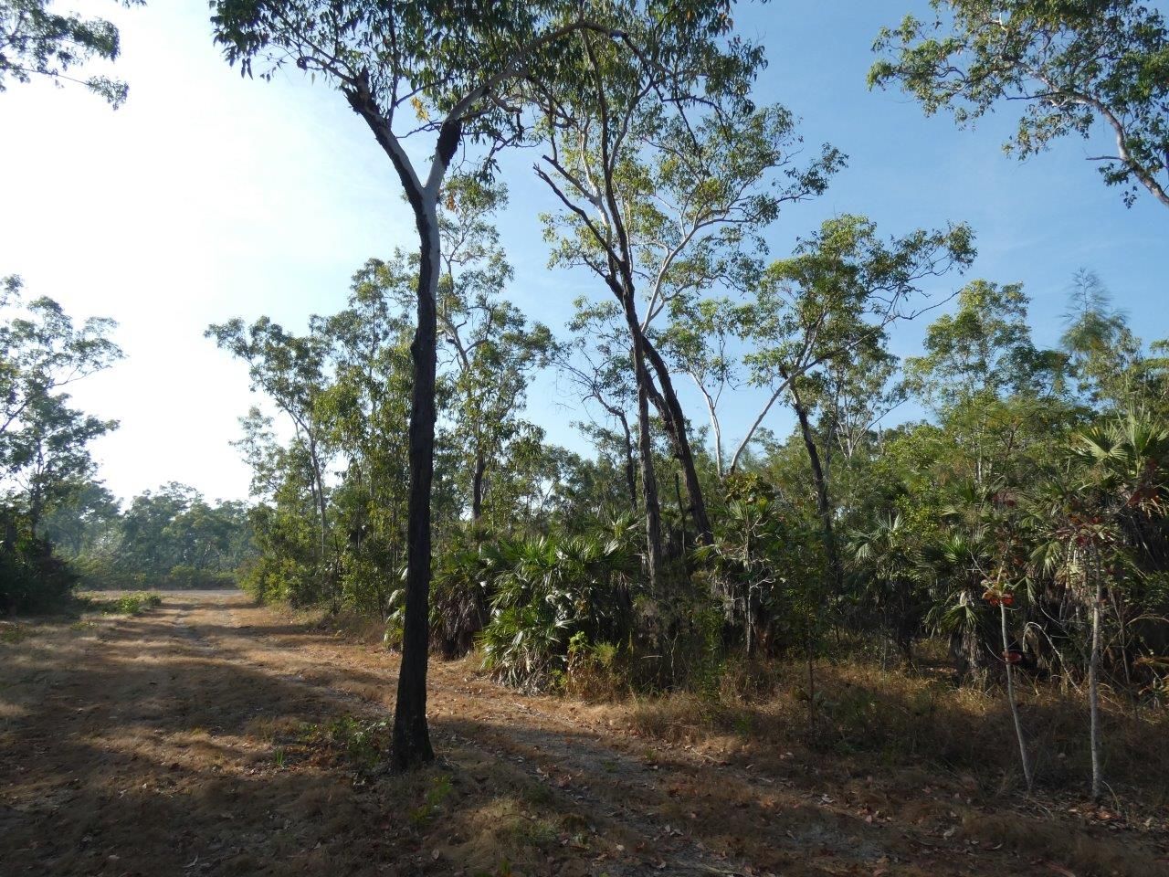 Vacant land in 655 Lot 37 Launceston Road, DUNDEE BEACH NT, 0840