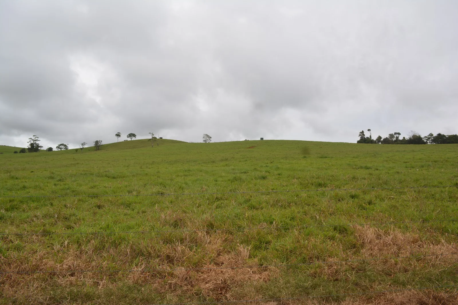 Image 15