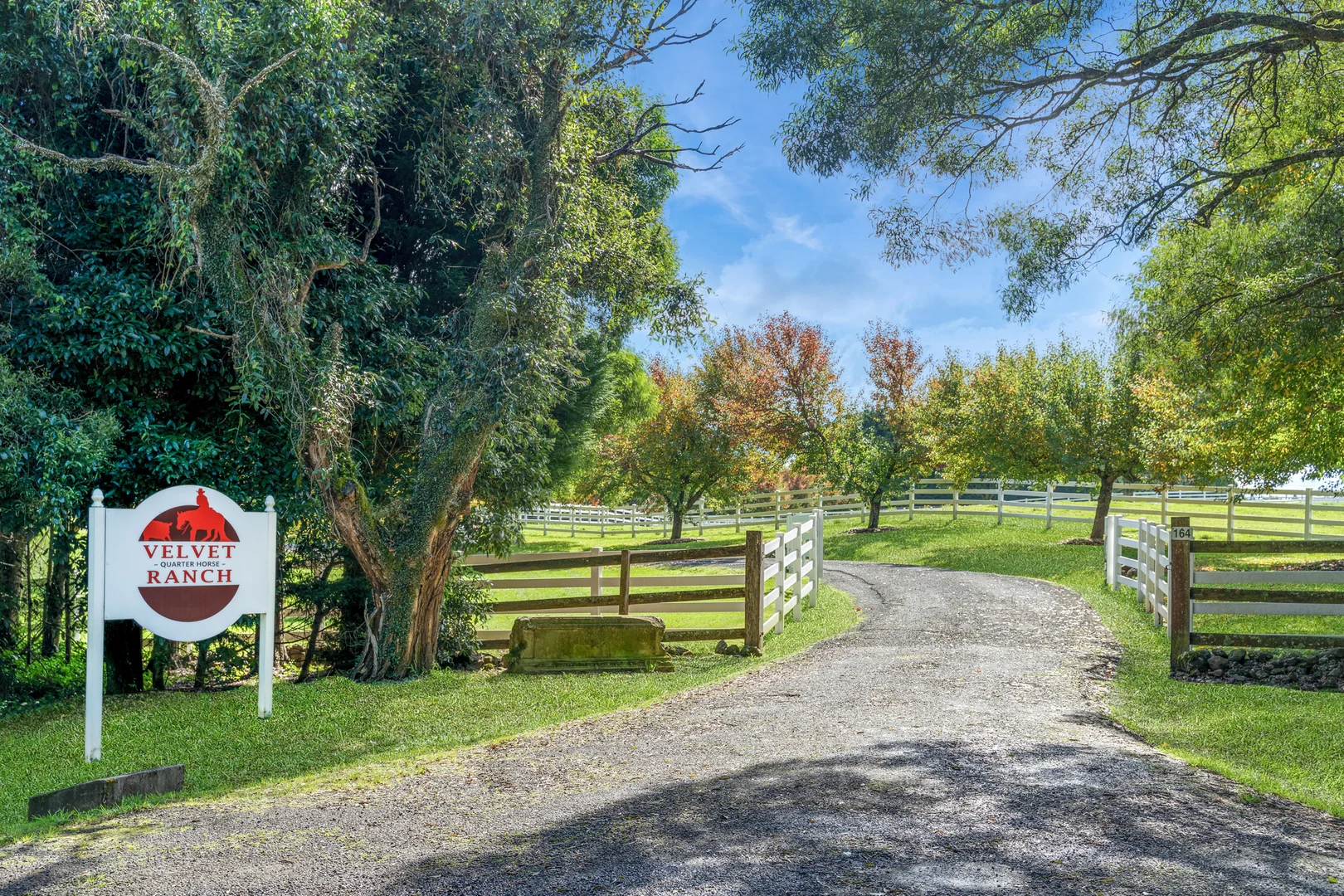 Additional image 27 of 101 Pearsons Lane, Robertson NSW 2577