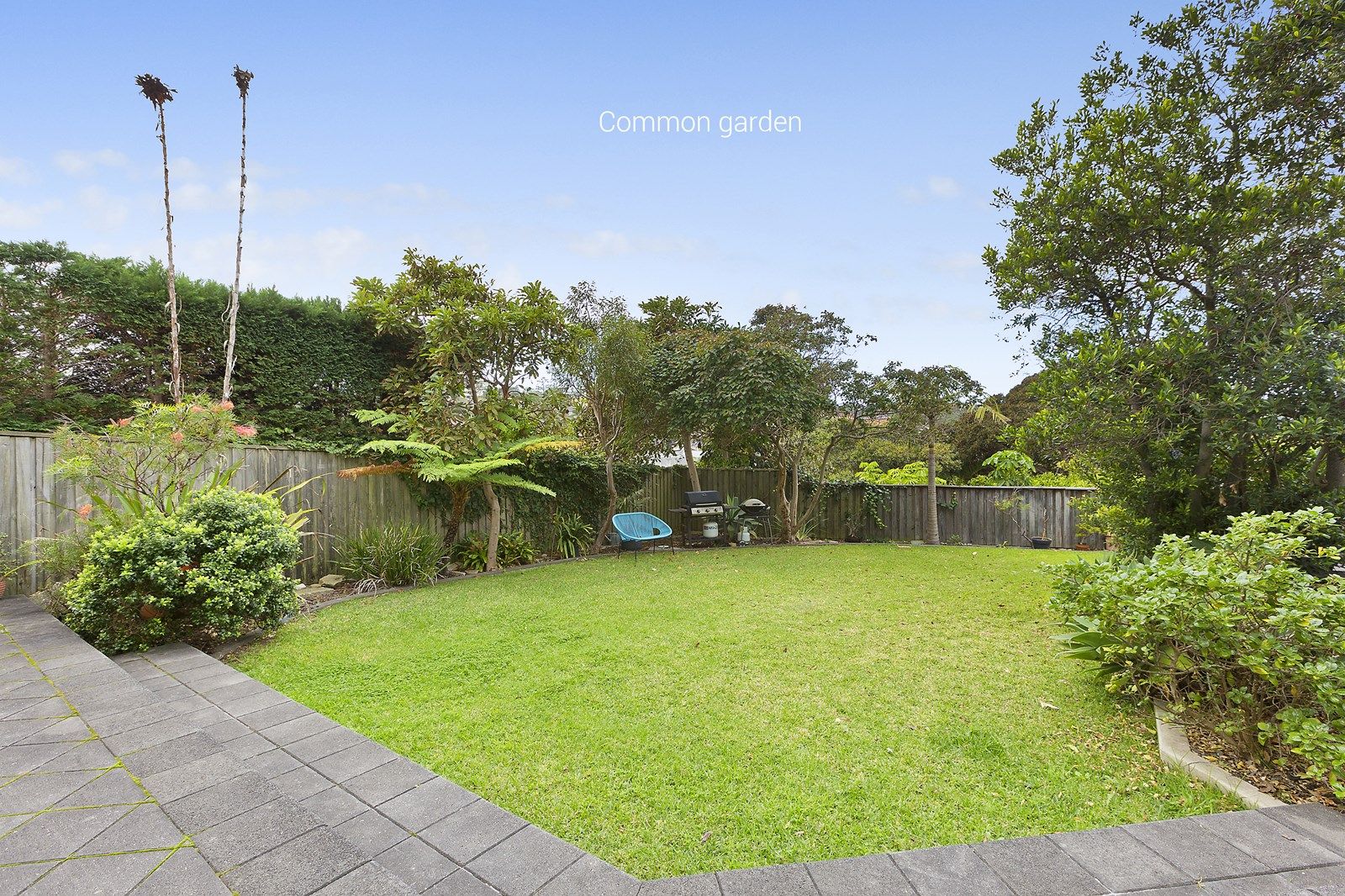 5/66 Addison Road, Manly NSW 2095, Image 1
