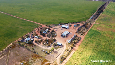 Picture of . 'Marlow', KOORDA WA 6475