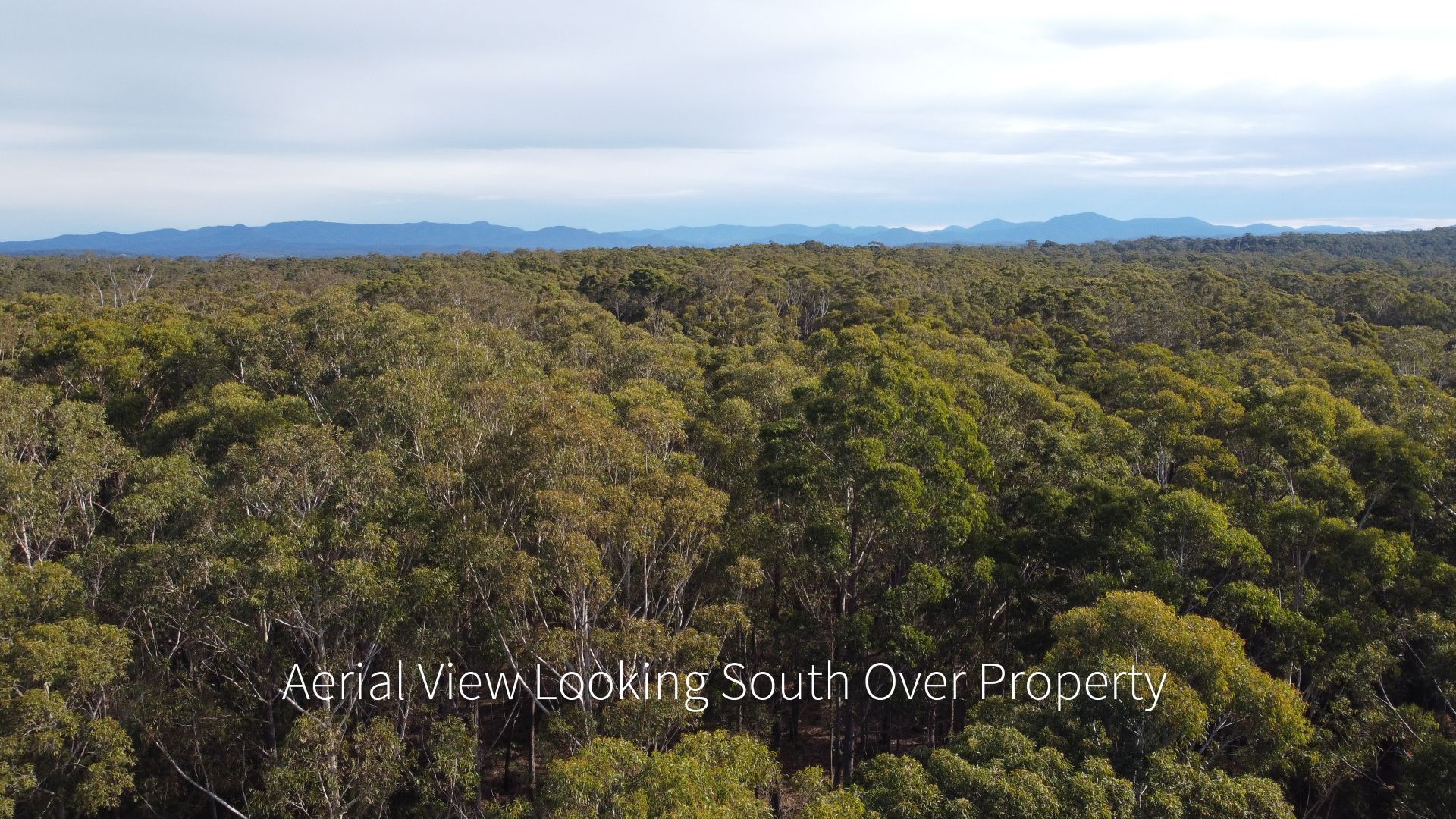 226 Percy Davis Drive, Moruya NSW 2537, Image 1