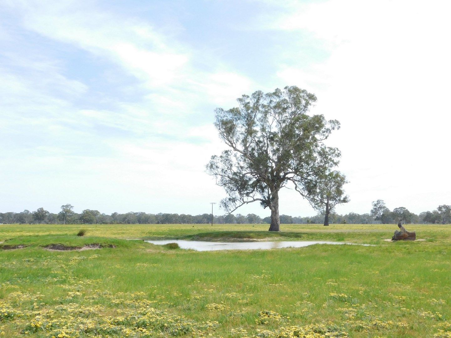 Lot 5 Casterton Road, Penola, Penola SA 5277, Image 0