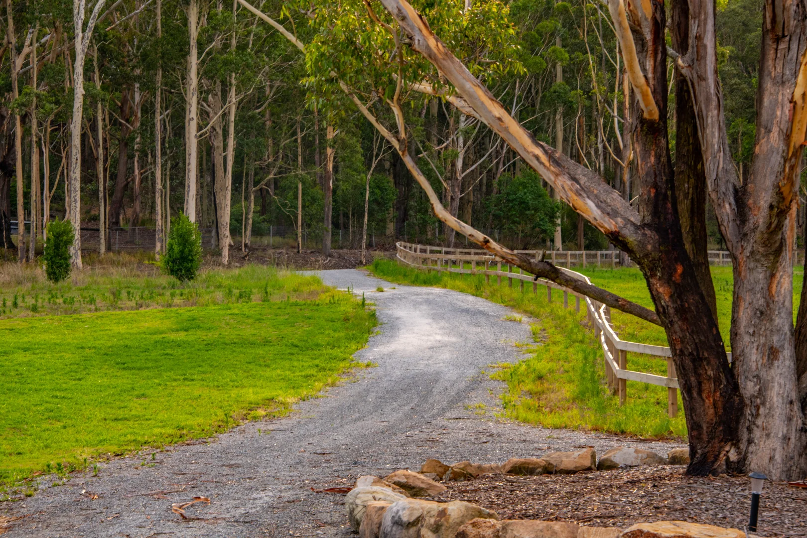 Additional image 31 of 532 Jilliby Road, Jilliby NSW 2259