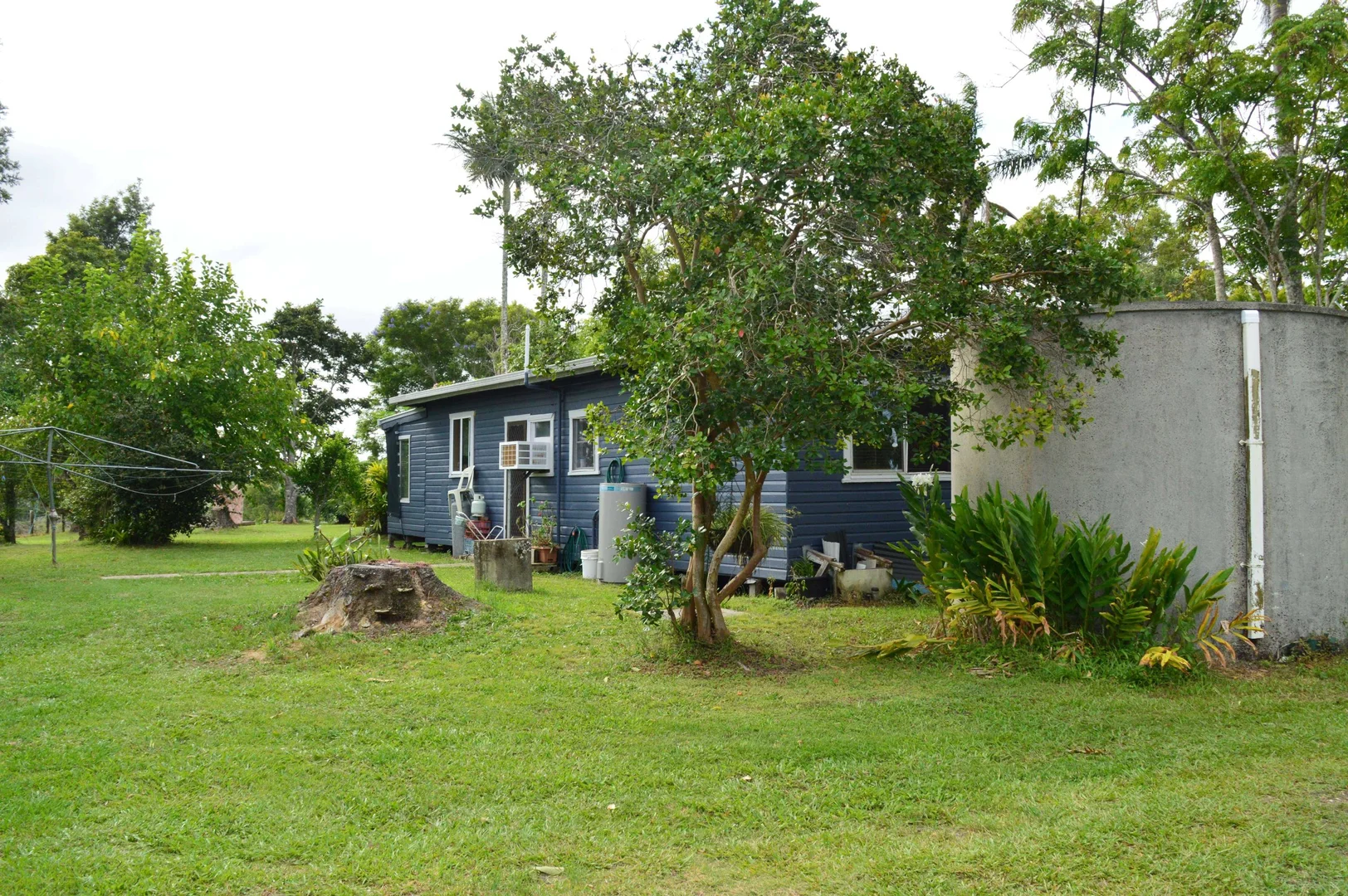 Image 15