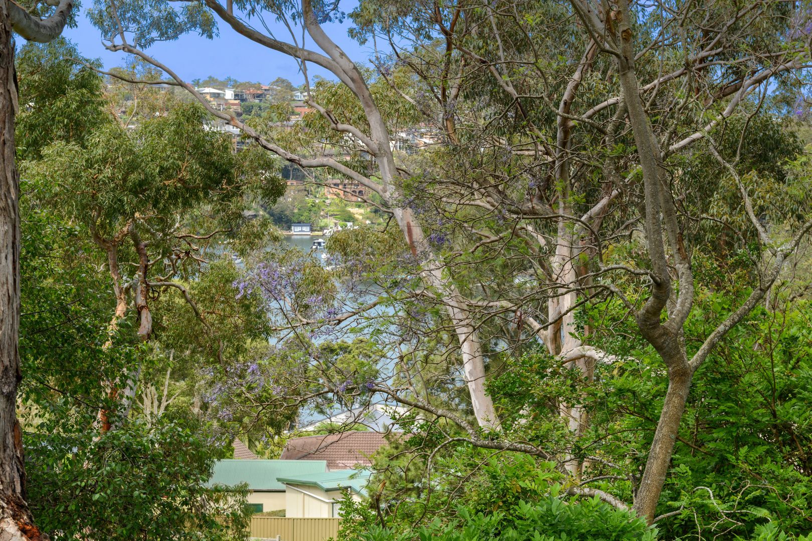 89 Grays Point Road, Grays Point NSW 2232, Image 1