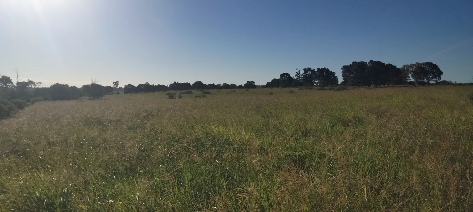 Additional image 25 of 808 Pine Creek Road, Givelda QLD 4670