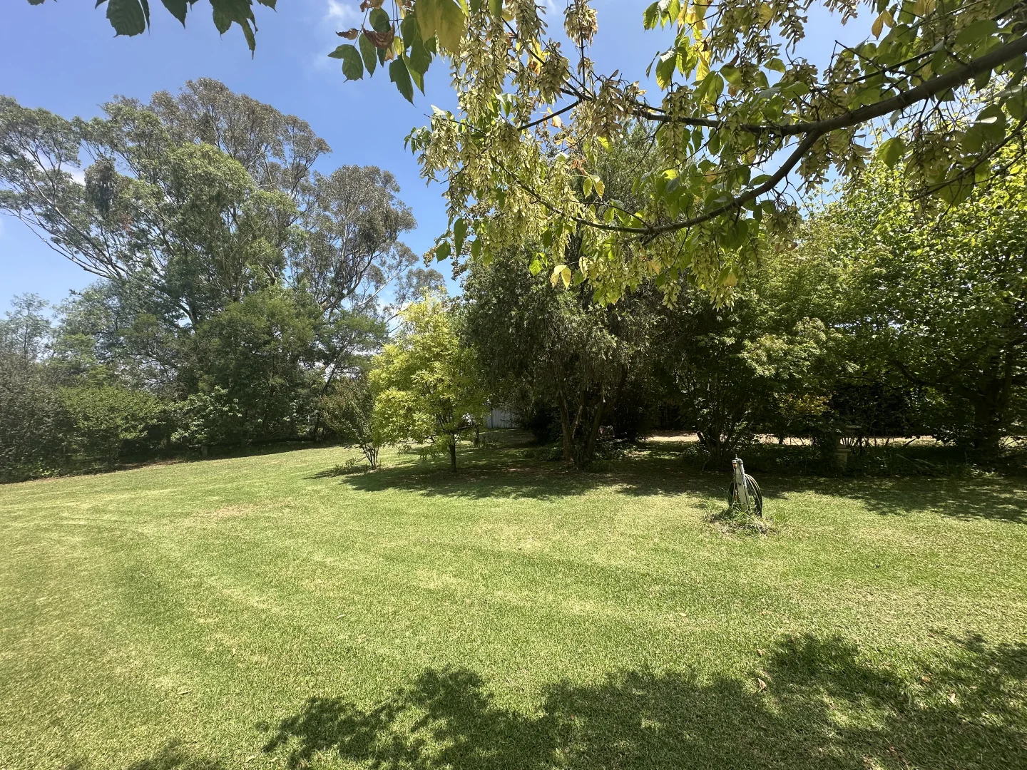 Image 23