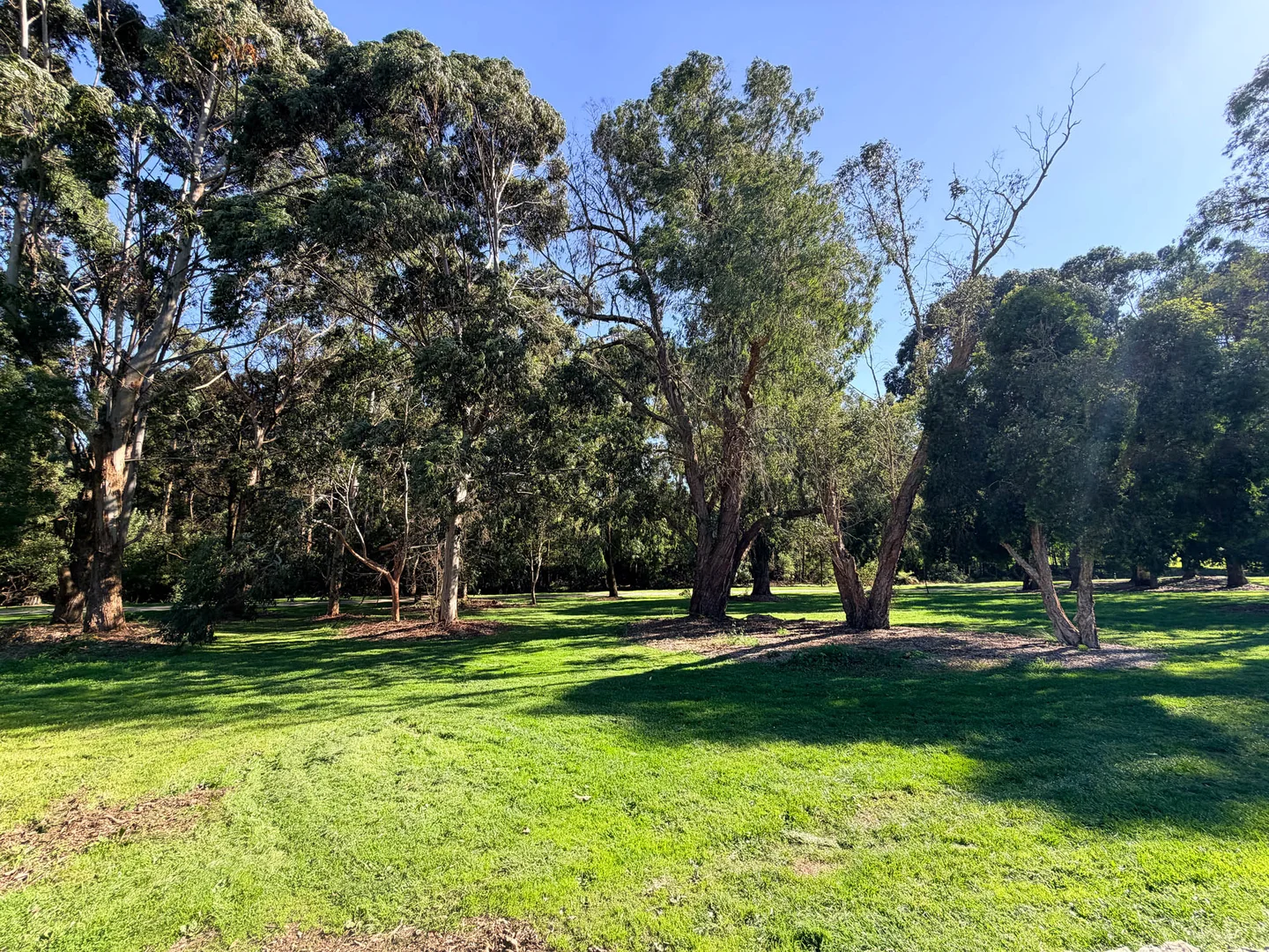 Additional image 23 of 65 Bowen Street, Warragul VIC 3820