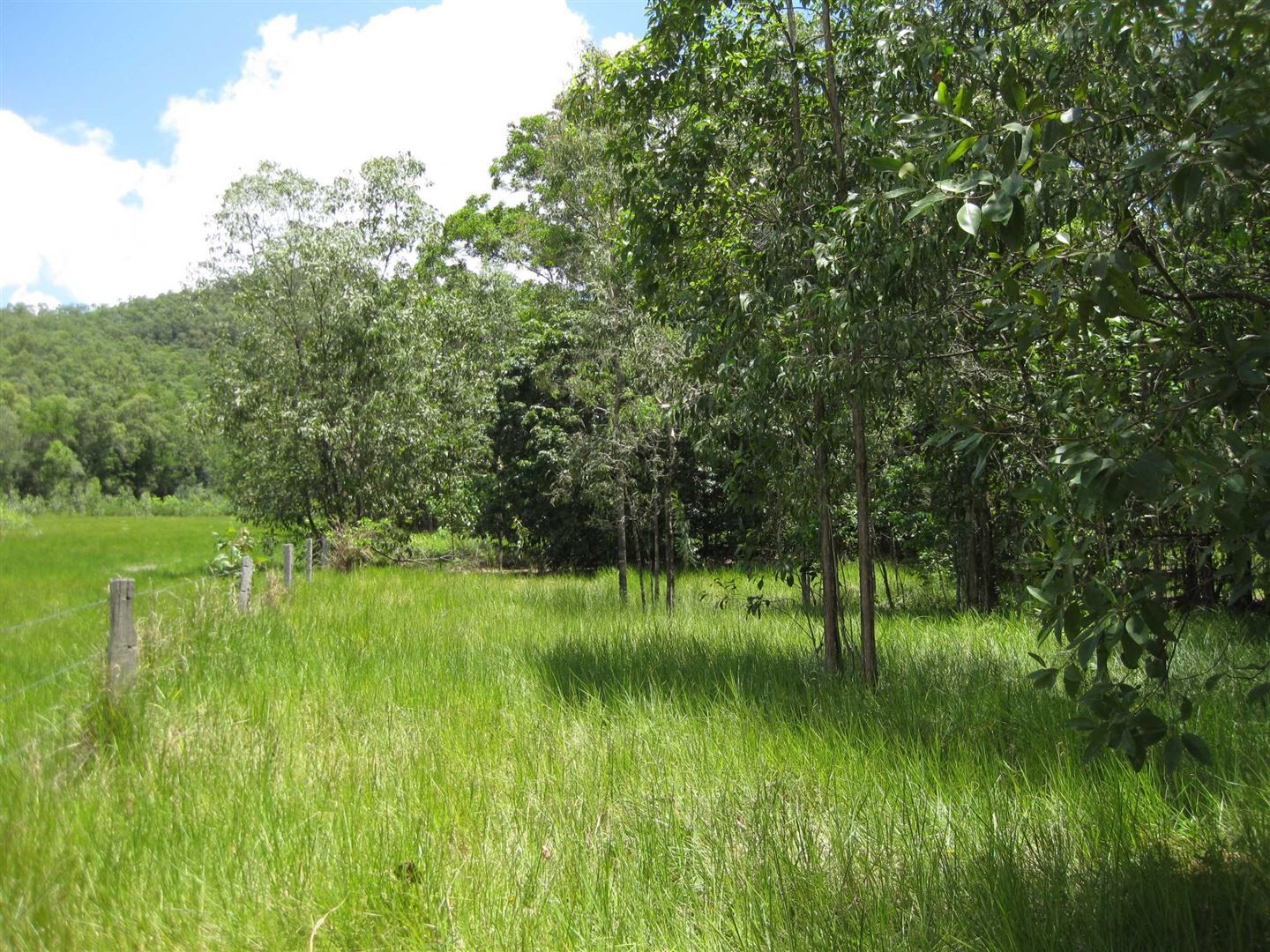 Dingo Pocket QLD 4854, Image 2