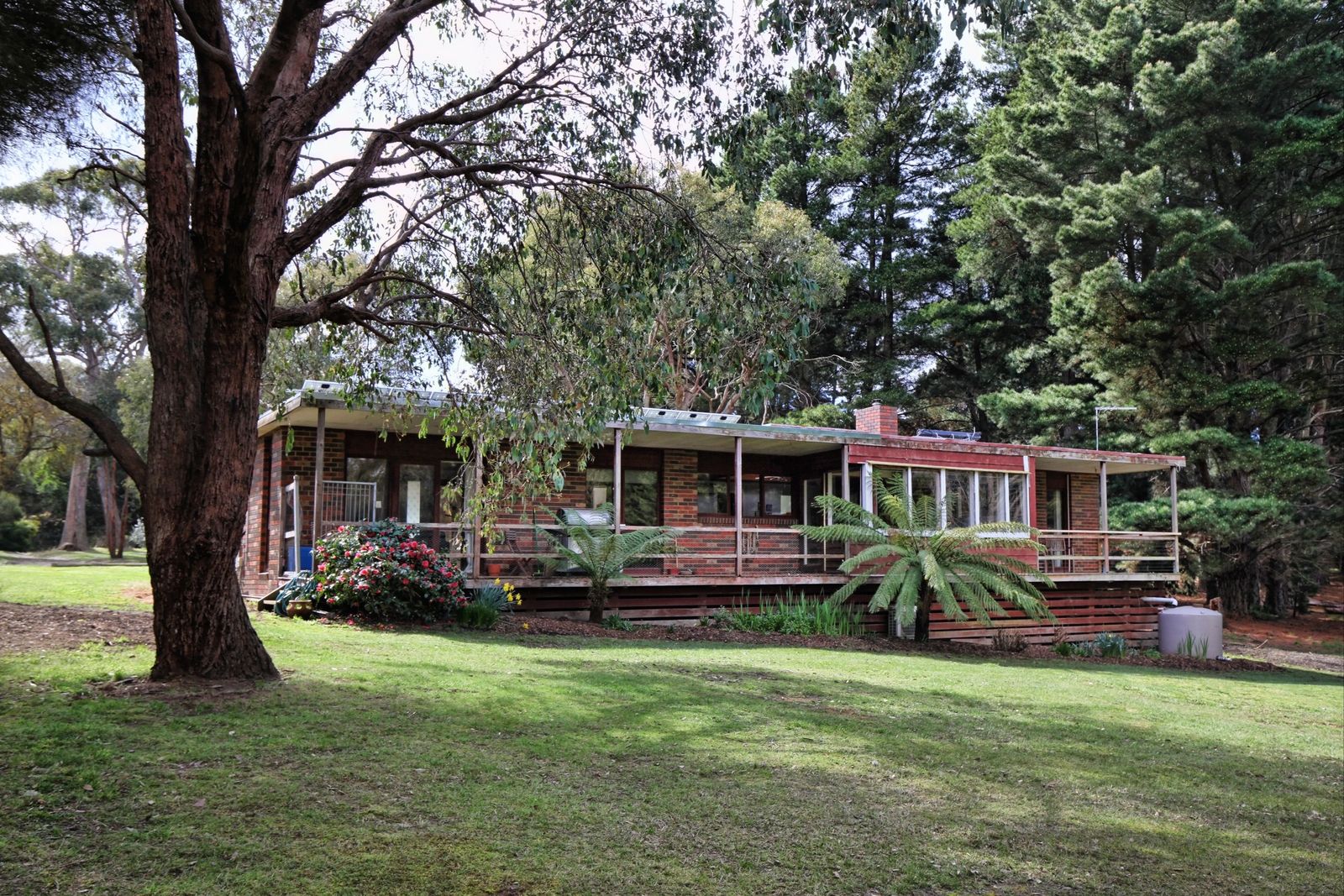 66 Forest Road, Newham VIC 3442 House for Sale Domain